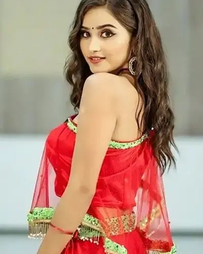 Escort In Krishna